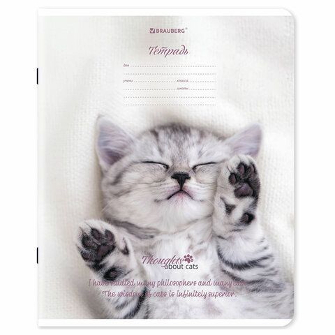 Тетради ДЭК 18 л. КОМПЛЕКТ 10 шт., BRAUBERG, клетка, обложка картон, Котики, 106757
