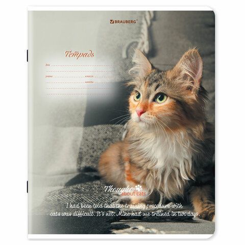 Тетради ДЭК 18 л. КОМПЛЕКТ 10 шт., BRAUBERG, клетка, обложка картон, Котики, 106757