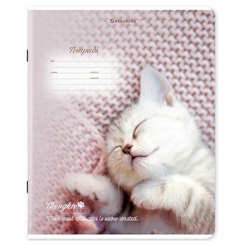 Тетради ДЭК 18 л. КОМПЛЕКТ 10 шт., BRAUBERG, клетка, обложка картон, Котики, 106757