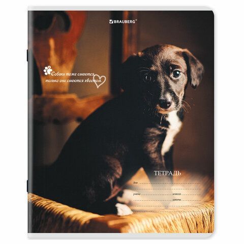 Тетради ДЭК 18 л. КОМПЛЕКТ 10 шт., BRAUBERG, клетка, обложка картон, Щеночки, 106758