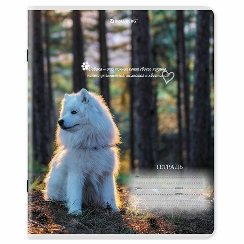 Тетради ДЭК 18 л. КОМПЛЕКТ 10 шт., BRAUBERG, клетка, обложка картон, Щеночки, 106758
