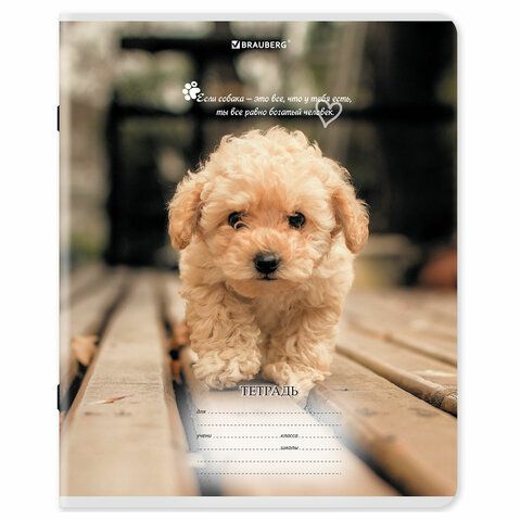 Тетради ДЭК 18 л. КОМПЛЕКТ 10 шт., BRAUBERG, клетка, обложка картон, Щеночки, 106758