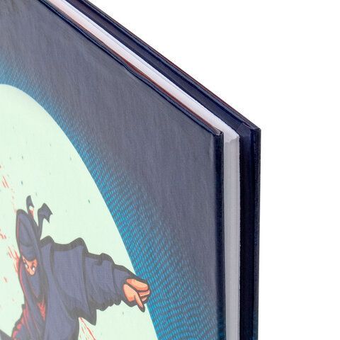 Дневник 1-4 класс 48 л., твердый, ЮНЛАНДИЯ, глянцевая ламинация, с подсказом, &quot;Ниндзя&quot;, 106823