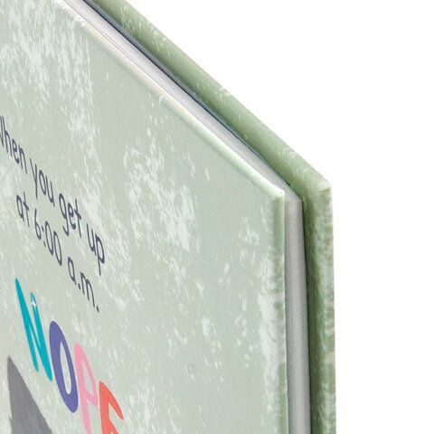 Дневник 1-4 класс 48 л., твердый, ЮНЛАНДИЯ, глянцевая ламинация, с подсказом, &quot;Котик&quot;, 106825
