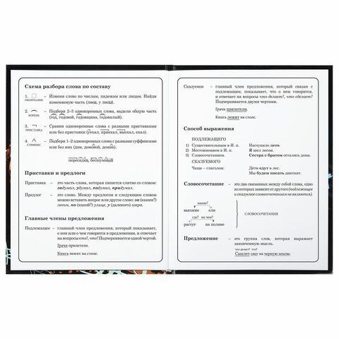 Дневник 1-4 класс 48 л., твердый, BRAUBERG, глянцевая ламинация, с подсказом, &quot;Футбол&quot;, 106834