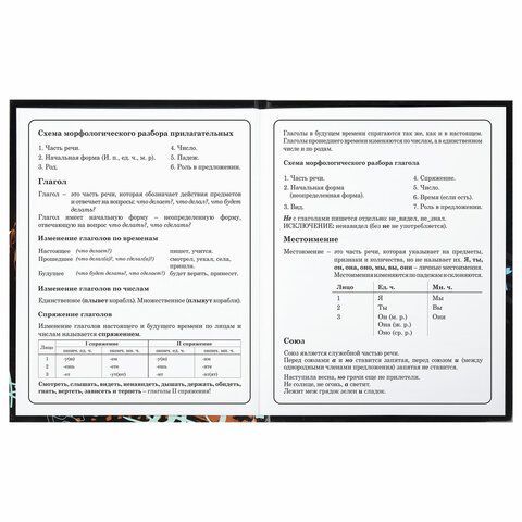 Дневник 1-4 класс 48 л., твердый, BRAUBERG, глянцевая ламинация, с подсказом, &quot;Футбол&quot;, 106834