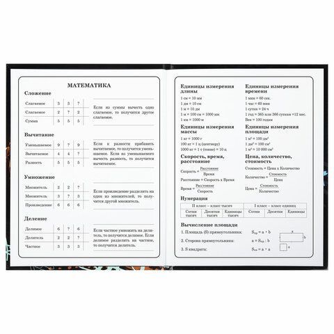Дневник 1-4 класс 48 л., твердый, BRAUBERG, глянцевая ламинация, с подсказом, &quot;Футбол&quot;, 106834