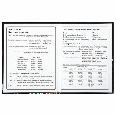 Дневник 1-4 класс 48 л., твердый, BRAUBERG, глянцевая ламинация, с подсказом, &quot;Футбол&quot;, 106834