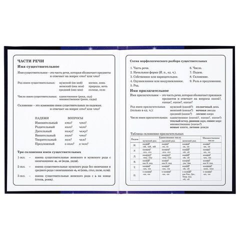 Дневник 1-4 класс 48 л., твердый, BRAUBERG, глянцевая ламинация, с подсказом, &quot;Аниме&quot;, 106836