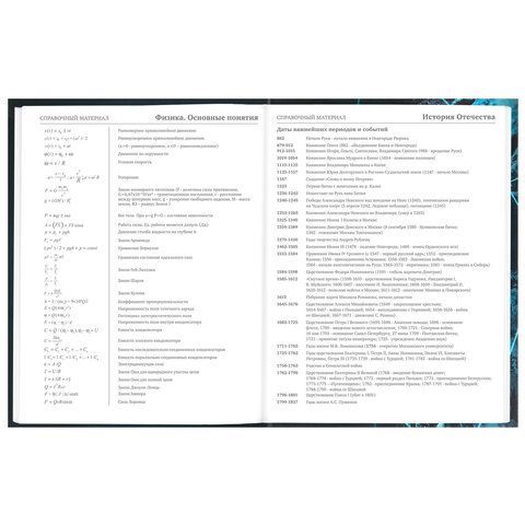 Дневник 5-11 класс 48 л., твердый, BRAUBERG, глянцевая ламинация, с подсказом, &quot;Интернет&quot;, 106869