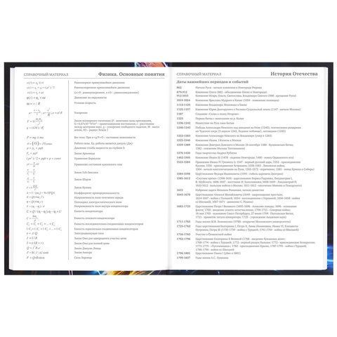 Дневник 5-11 класс 48 л., твердый, BRAUBERG, блестки, с подсказом, &quot;Волшебный кот&quot;, 106891