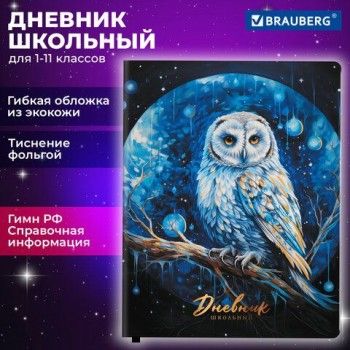 Дневник 1-11 класс 48 л., кожзам (гибкая), печать, фольга, BRAUBERG, "Совушка", 106919