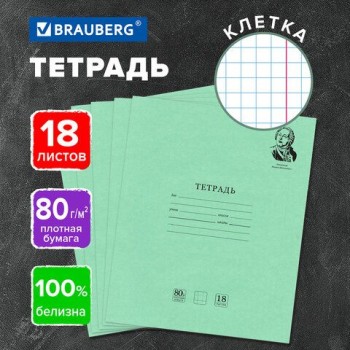 Тетрадь BRAUBERG 20 шт. ВЕЛИКИЕ ИМЕНА 18л. клетка, плотная бумага 80г/м2, обложка тонированный офсет, 106978