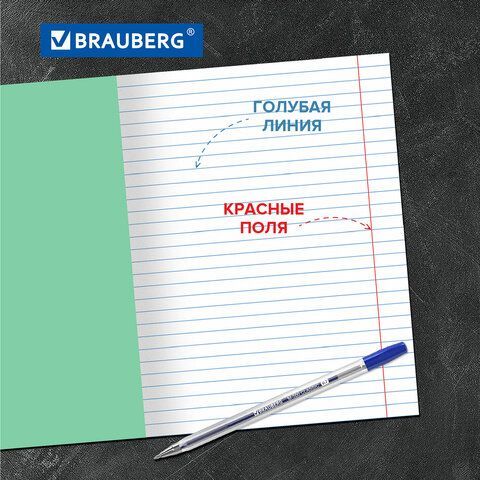 Тетрадь BRAUBERG 20 шт. ВЕЛИКИЕ ИМЕНА 18л. линия, плотная бумага 80г/м2, обложка тонированный офсет, 106979