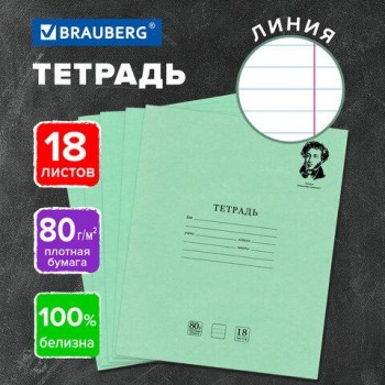 Тетрадь BRAUBERG 20 шт. ВЕЛИКИЕ ИМЕНА 18л. линия, плотная бумага 80г/м2, обложка тонированный офсет, 106979