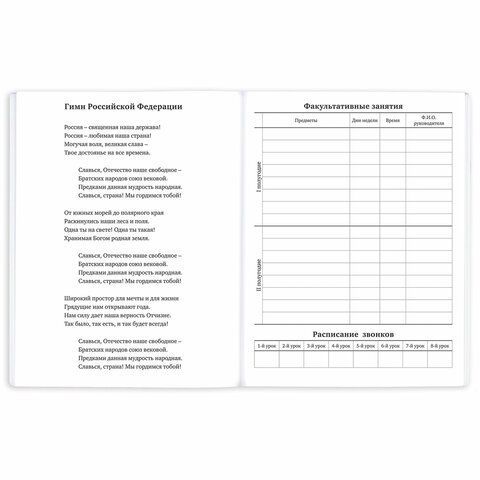 Дневник 1-11 класс 40 л., на скобе, ПИФАГОР, обложка картон, Котик, 107131