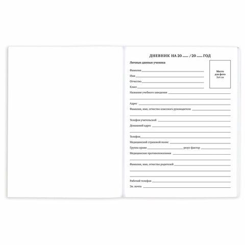Дневник 1-11 класс 40 л., на скобе, ПИФАГОР, обложка картон, Котик, 107131