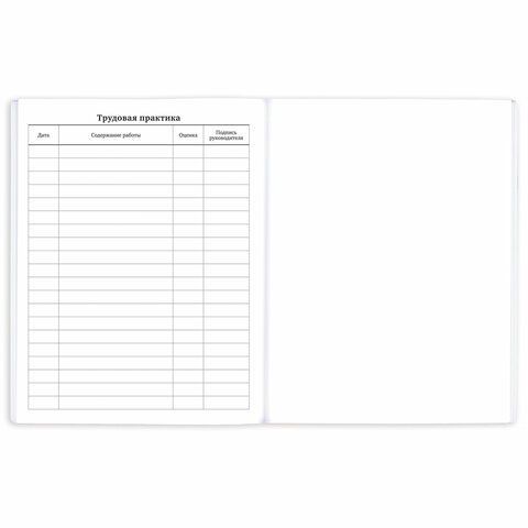 Дневник 1-11 класс 40 л., на скобе, ПИФАГОР, обложка картон, Котик, 107131