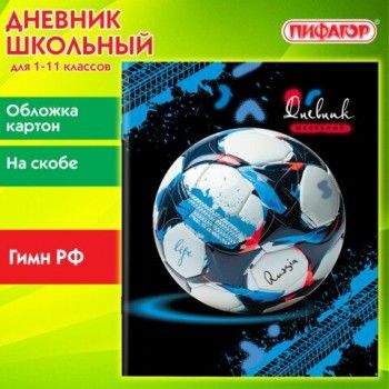 Дневник 1-11 класс 40 л., на скобе, ПИФАГОР, обложка картон, Футбол, 107136
