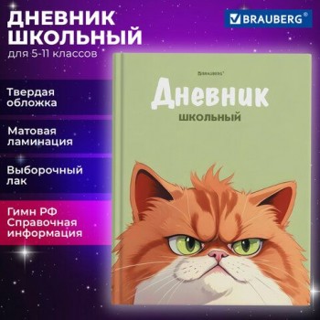 Дневник 5-11 класс 48 л., твердый, FUNSTER, выборочный лак, с подсказом, Суровый Кот, 107196