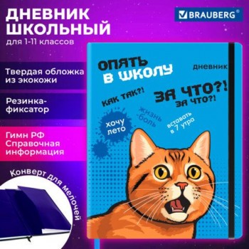 Дневник 1-11 класс 48л, кожзам (твердая), печать, резинка, конверт, FUNSTER, Опять в школу, 107231