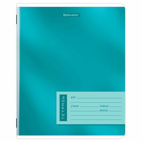 Тетради ДЭК 12 л., КОМПЛЕКТ 10 шт., BRAUBERG, клетка, обложка картон, "ONE COLOUR", 107313