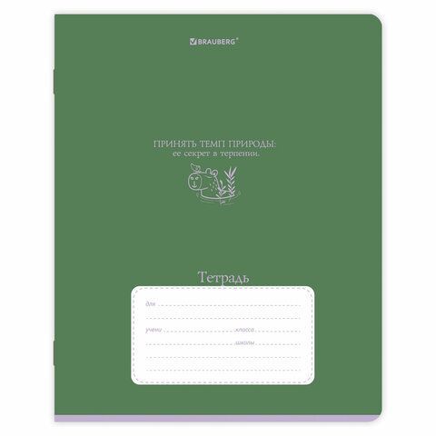 Тетради ДЭК 12 л. КОМПЛЕКТ 10 шт. BRAUBERG, линия, обложка картон, "PHRASES", 107323