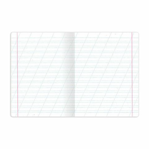 Тетради ДЭК 12 л., КОМПЛЕКТ 10 шт., BRAUBERG, косая линия, обложка картон, "CLASSIC", 107325