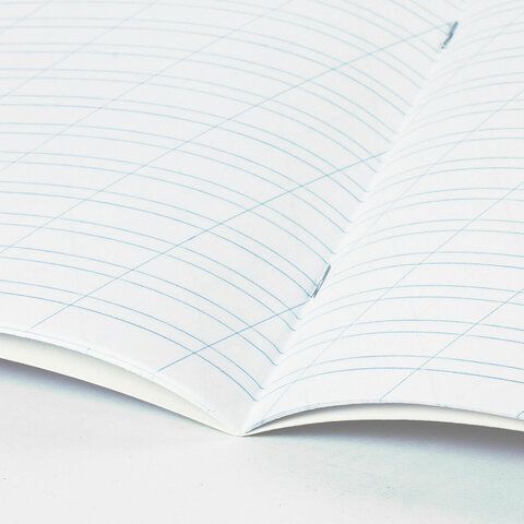 Тетради ДЭК 12 л., КОМПЛЕКТ 10 шт., BRAUBERG, косая линия, обложка картон, "PHRASES", 107328