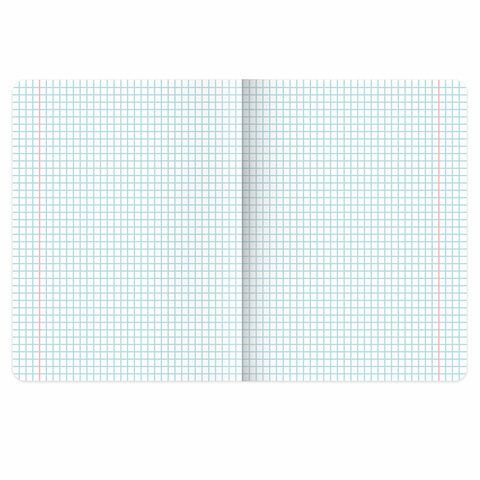 Тетради ДЭК 18 л. КОМПЛЕКТ 10 шт. BRAUBERG, клетка, обложка картон, "ONE COLOUR", 107332