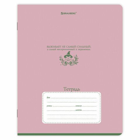 Тетради ДЭК 24 л. КОМПЛЕКТ 10 шт. BRAUBERG, клетка, обложка картон, "PHRASES", 107343