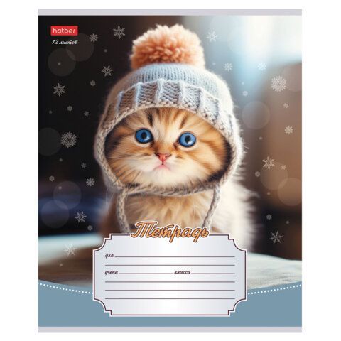 Тетрадь 12л. HATBER 20 шт. линия, обложка картон, Уютные котики (микс в спайке), 12Т5В2