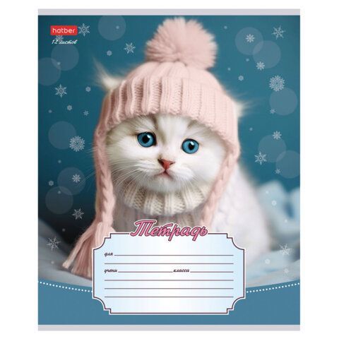 Тетрадь 12л. HATBER 20 шт. линия, обложка картон, Уютные котики (микс в спайке), 12Т5В2