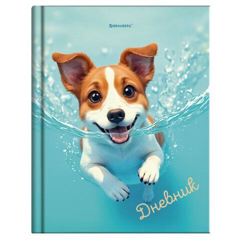 Дневник 1-4 класс 48л, твердый, BRAUBERG, глянцевая ламинация, с подсказом, МИКС УНИВЕРСАЛЬНЫЙ, 107587