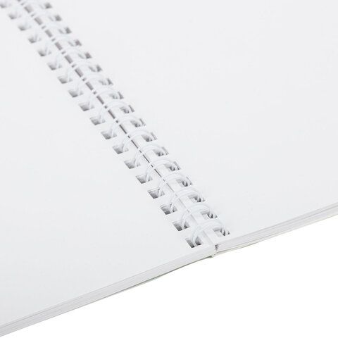 Альбом для рисования, пластиковая обложка, А4 40л., гребень, BRAUBERG, 210х297мм, ОДНОТОННЫЕ (4 вида), 107681