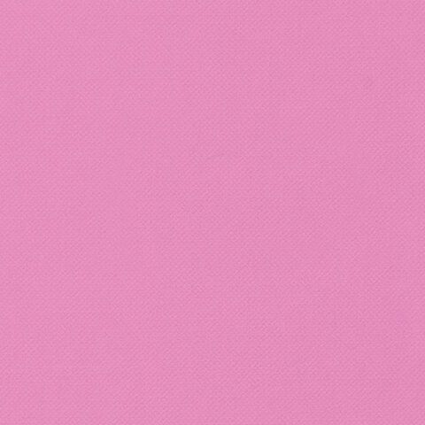 Ежедневник недатированный А5 (138x213 мм) BRAUBERG &quot;Select&quot;, балакрон, 160 л., розовый, 111663