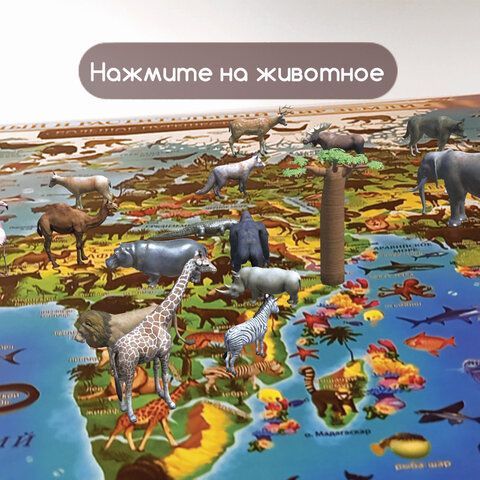 Карта мира &quot;Животный и растительный мир&quot; 101х69 см, интерактивная, в тубусе, ЮНЛАНДИЯ, 112373