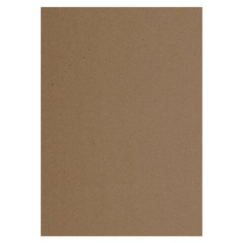 Крафт-бумага для графики, эскизов А4(210х297мм), 120г/м2, 100л, BRAUBERG ART CLASSIC,112486