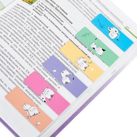 Закладки для книг МАГНИТНЫЕ, &quot;CATS&quot;, набор 6 шт., 60x20 мм, BRAUBERG, 113159