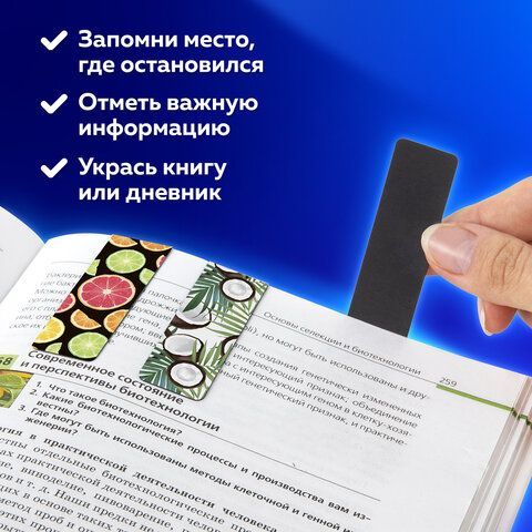 Закладки для книг МАГНИТНЫЕ, &quot;FRUITS&quot;, набор 6 шт., 60x20 мм, BRAUBERG, 113160