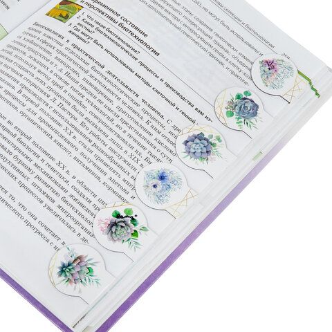 Закладки для книг МАГНИТНЫЕ, &quot;FLOWERS&quot;, набор 6 шт., 32х28 мм, BRAUBERG 2 шт., 113168