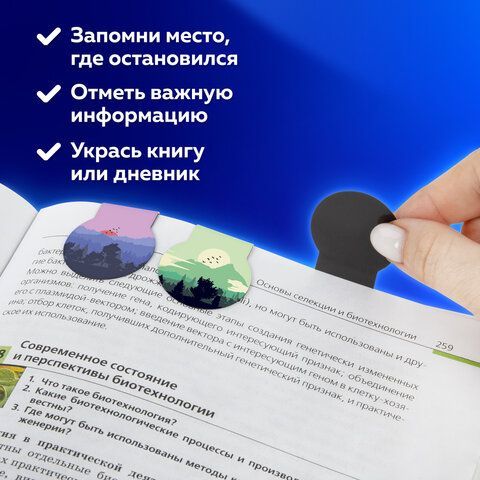 Закладки для книг МАГНИТНЫЕ, &quot;SUNSET&quot;, набор 6 шт., 32х28 мм, BRAUBERG 2 шт., 113169