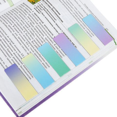 Закладки для книг МАГНИТНЫЕ, &quot;GRADIENT&quot;, набор 12 шт., 60x20 мм, BRAUBERG, 113170