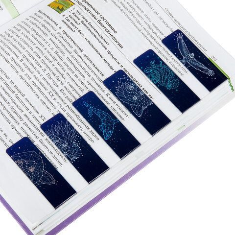 Закладки для книг МАГНИТНЫЕ, &quot;GALAXY&quot;, набор 12 шт., 60x20 мм, BRAUBERG, 113171