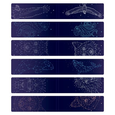 Закладки для книг МАГНИТНЫЕ, &quot;GALAXY&quot;, набор 12 шт., 60x20 мм, BRAUBERG, 113171