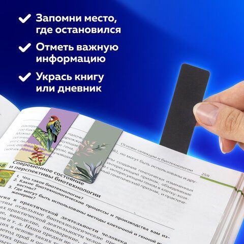 Закладки для книг МАГНИТНЫЕ, &quot;TROPICS&quot;, набор 12 шт., 60x20 мм, BRAUBERG, 113172