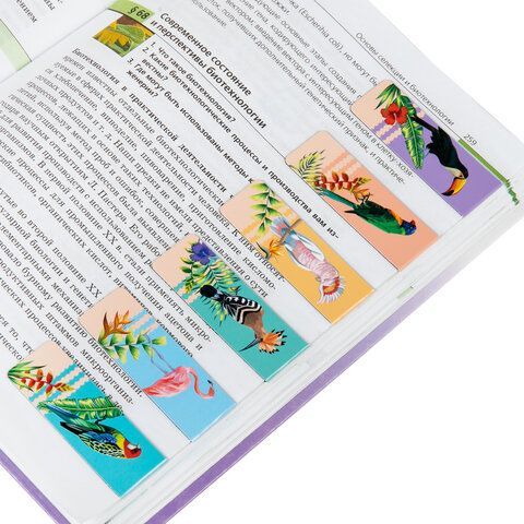 Закладки для книг МАГНИТНЫЕ, &quot;TROPICS&quot;, набор 12 шт., 60x20 мм, BRAUBERG, 113172