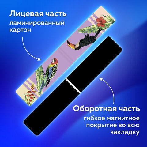 Закладки для книг МАГНИТНЫЕ, &quot;TROPICS&quot;, набор 12 шт., 60x20 мм, BRAUBERG, 113172