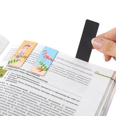 Закладки для книг МАГНИТНЫЕ, &quot;MIX&quot;, набор 30 шт., 60x20 мм, BRAUBERG, 113175
