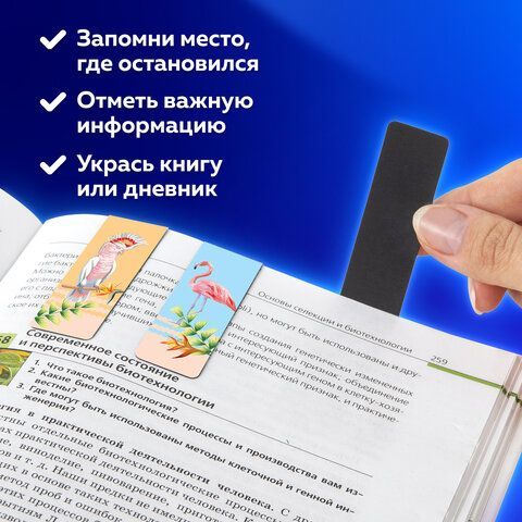 Закладки для книг МАГНИТНЫЕ, &quot;MIX&quot;, набор 30 шт., 60x20 мм, BRAUBERG, 113175